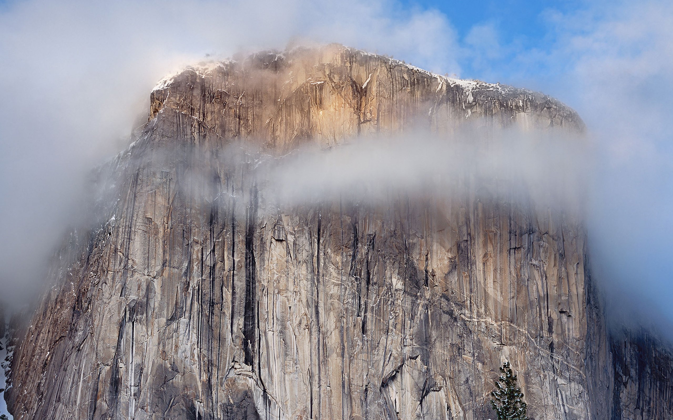 Download Safari For Mac Os X Yosemite
